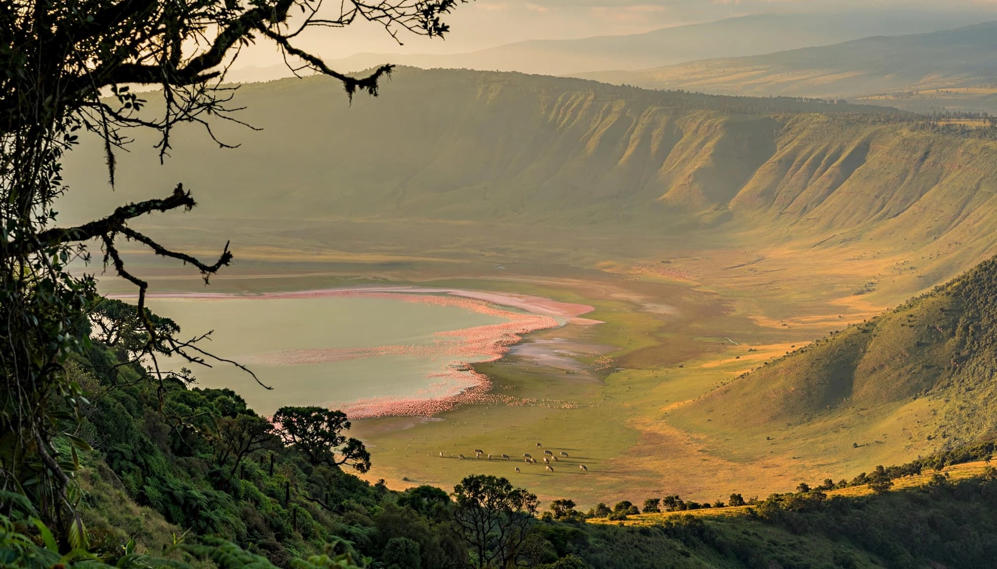 Layered crater walls frame tiny zebras and a bright lake far below.