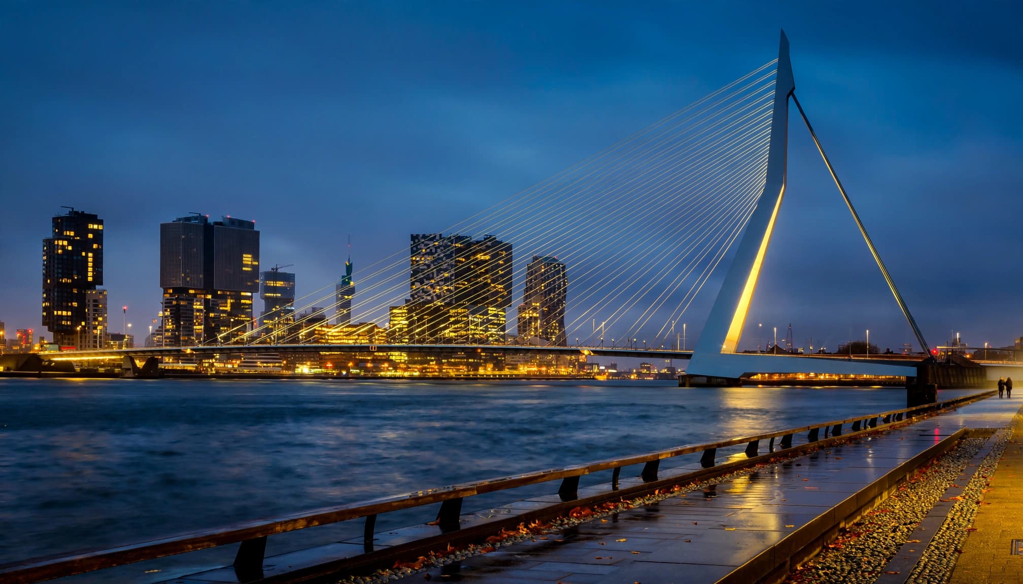 Erasmus Bridge and Rotterdam's modern skyline glow beside the Maas River at blue hour.